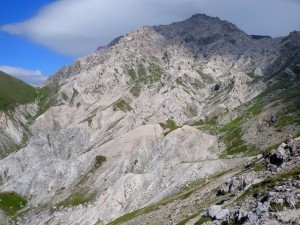 3 DSCN8630