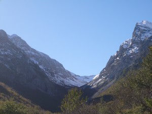 P1020932