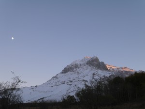 P1020994